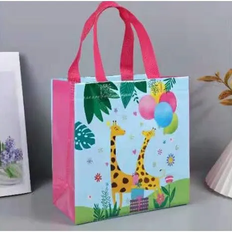 Eco-friendly Goodie Bag Packaging (Non-Woven and Waterproof)