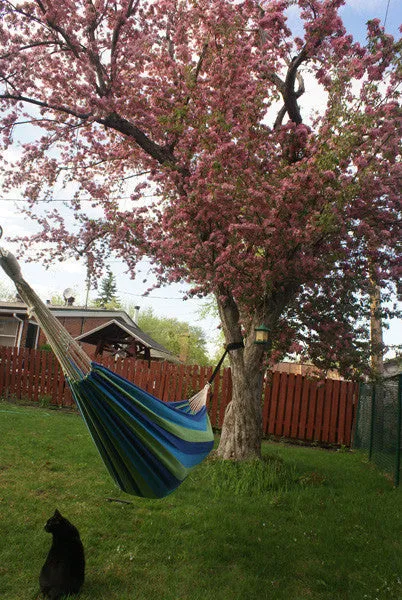 Eco-Friendly Hammock Tree Straps