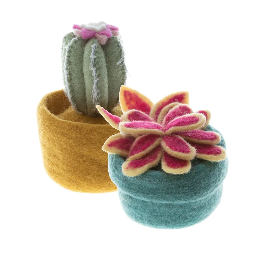 Felt Cactus Pots