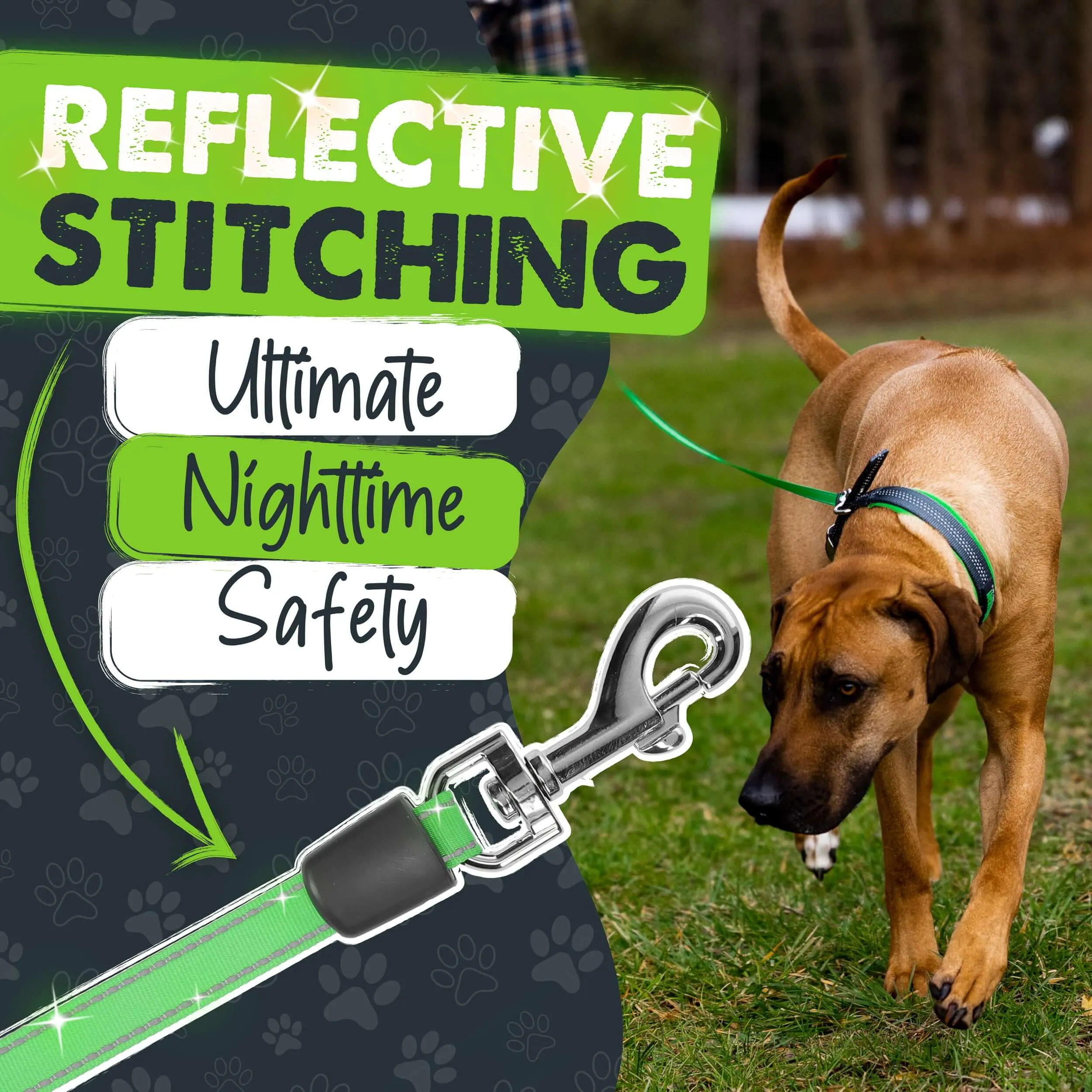 Mighty Paw Retractable Dog Leash 3.0 with Poop Bag Holder