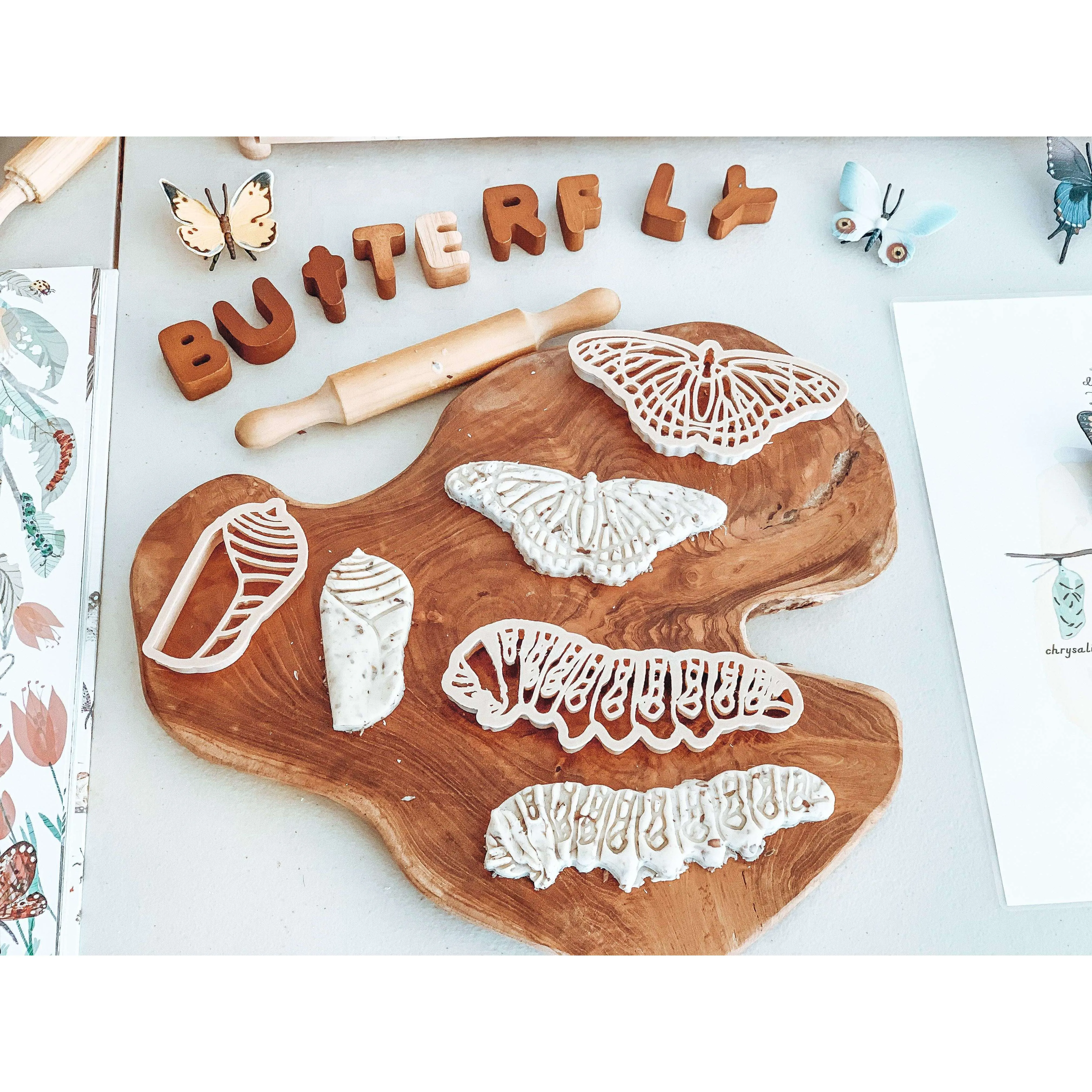 Monarch Butterfly Life Cycle Eco Cutter Set