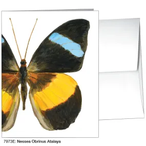 Nessea Obrinus Atalaya, Greeting Card (7973E)