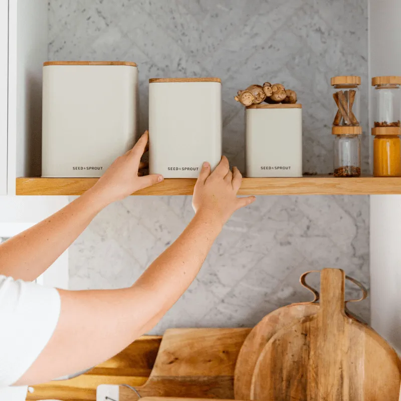 Vegetable Storage Containers | Mushroom