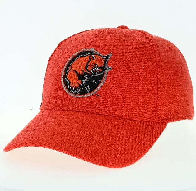 Wildcat 717 Snapback